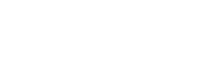 dizviz — Dream · Design · Experience